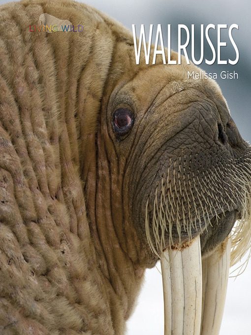 Title details for Walruses by Melissa Gish - Available
